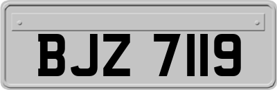 BJZ7119