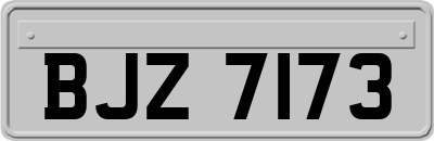 BJZ7173
