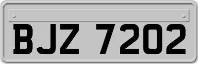 BJZ7202