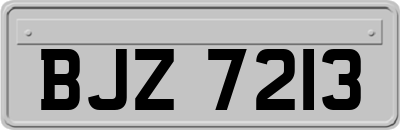 BJZ7213