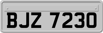 BJZ7230