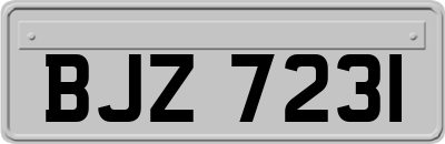 BJZ7231