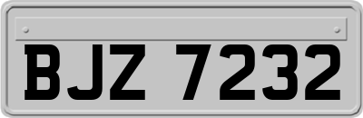 BJZ7232