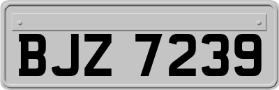 BJZ7239
