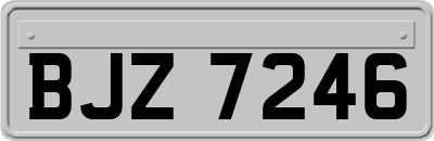 BJZ7246