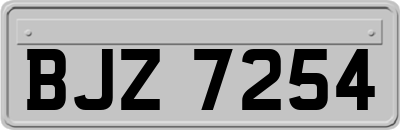 BJZ7254