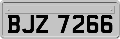 BJZ7266