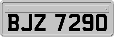 BJZ7290