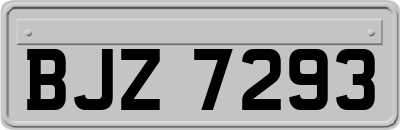 BJZ7293