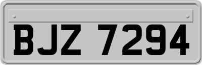 BJZ7294