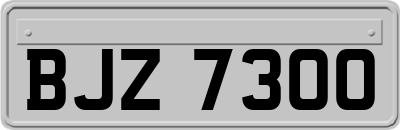 BJZ7300