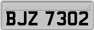 BJZ7302