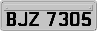 BJZ7305