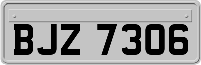 BJZ7306