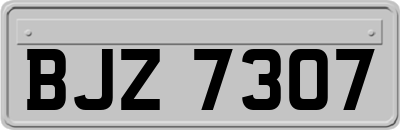 BJZ7307