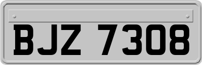 BJZ7308