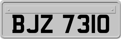 BJZ7310