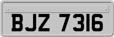 BJZ7316