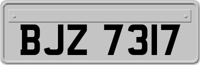BJZ7317