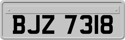BJZ7318