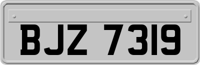 BJZ7319