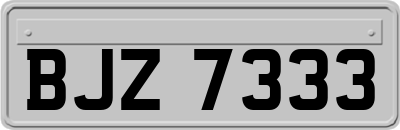 BJZ7333