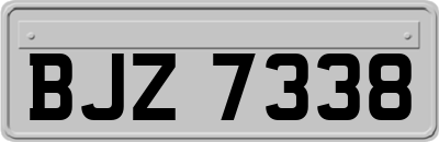 BJZ7338