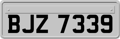 BJZ7339