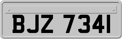 BJZ7341