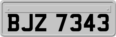 BJZ7343