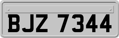 BJZ7344