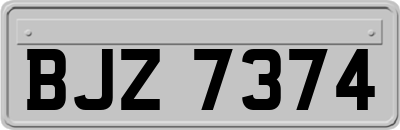 BJZ7374