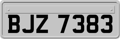 BJZ7383