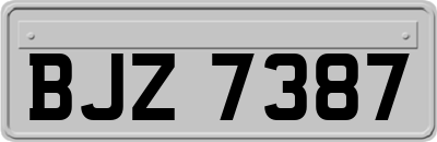 BJZ7387