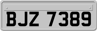 BJZ7389