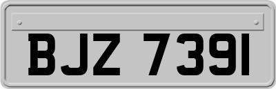 BJZ7391