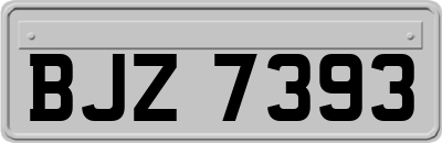 BJZ7393