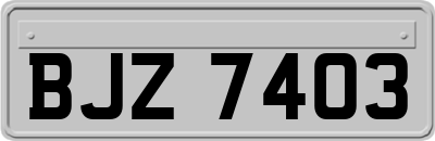 BJZ7403