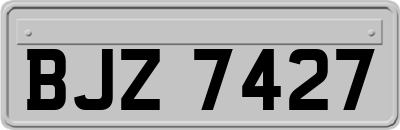 BJZ7427