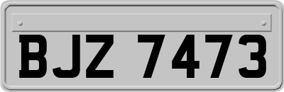 BJZ7473