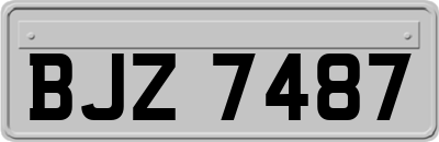 BJZ7487