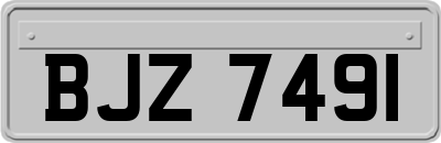 BJZ7491