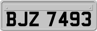 BJZ7493
