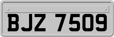 BJZ7509