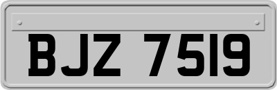 BJZ7519