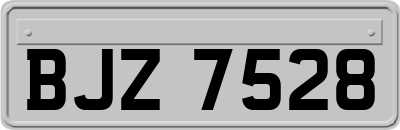 BJZ7528