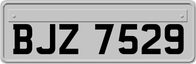 BJZ7529