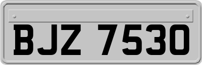 BJZ7530