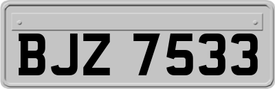 BJZ7533