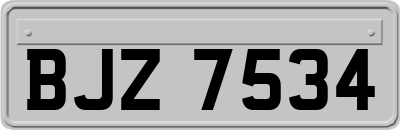 BJZ7534